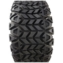 Шина для квадроцикла ATV 22х11 R10 (275/55-10) ARISUN АT-23 X TRAIL, TL безкамерна